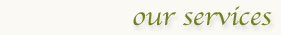 chiropractic bio cranial